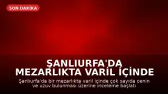 Şanlıurfa'da Mezarlıkta Varil İçinde Çok Sayıda Cenin Bulundu