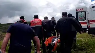 Sivas'ta Mantar Toplarken Ayı Saldırısı: Bir Vatandaşın Parmağı Koptu