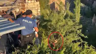 Tedaviyi Reddedip Kaçan Şahıs, Dere Yatağındaki Ağaçta Asılı Kaldı