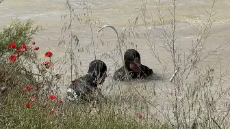 Tokat'ta Kelkit Çayı'na Düşen 2 Genci Arama Çalışmaları 3. Gününde Devam Ediyor