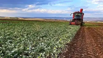 Tokat'ta Sel ve Dolu Felaketi Çiftçiyi Vurdu: Ziraat Odası Destek Sözü Verdi