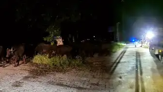 Tokat'ta Taşkın Riski Nedeniyle Bir Köy Tahliye Ediliyor