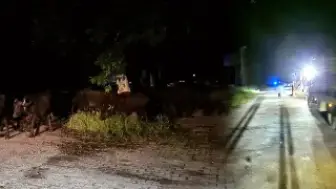 Tokat'ta Taşkın Riski Nedeniyle Bir Köy Tahliye Ediliyor