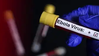 Uganda, Kongo Demokratik Cumhuriyeti Sınırını Ebola Nedeniyle Geçici Olarak Kapattı