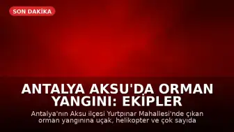 Antalya Aksu'da Orman Yangını: Ekipler Havadan ve Karadan Müdahale Ediyor