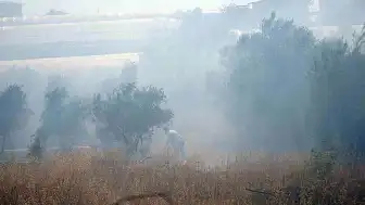 Antalya'da Çıkan Yangın Seralara Ulaşmadan Kontrol Altına Alındı