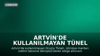 Artvin'de Kullanılmayan Tünel İstiridye Mantarı Üretim Tesisine Dönüştürüldü