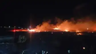 Balıkesir Burhaniye'de Örtü Yangını: Ekiplerin Müdahalesi Sürüyor