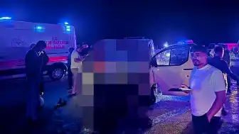 Bingöl'de Trafik Kazası: Ata Çarpan Panelvanın Sürücüsü Hayatını Kaybetti, 2 Kişi Yaralandı