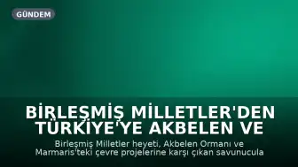 Birleşmiş Milletler'den Türkiye'ye Akbelen ve Marmaris Dosyası İçin Uyarı
