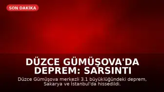 Düzce Gümüşova'da Deprem: Sarsıntı İstanbul'da da Hissedildi