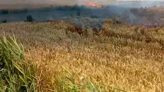 Edirne'nin Uzunköprü İlçesinde Buğday Tarlasında Yangın: 6 Dönüm Alan Zarar Gördü