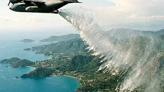İzlanda'da Erozyonla Mücadele İçin Kullanılan Bitki Yeni Bir Ekolojik Krize Yol Açtı