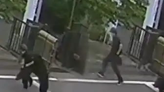 Japonya'da Ayı Saldırıları Sonucu Eğitime Ara Verildi