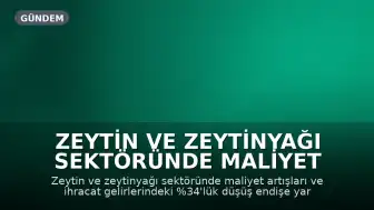 Zeytin ve Zeytinyağı Sektöründe Maliyet ve İhracat Kaygısı: Sektör Temsilcilerinden Kritik Uyarılar