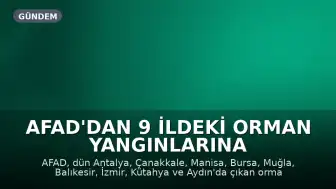 AFAD'dan 9 İldeki Orman Yangınlarına İlişkin Açıklama