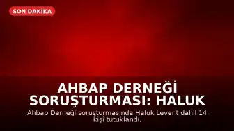 Ahbap Derneği Soruşturması: Haluk Levent ve 13 Kişi Tutuklandı