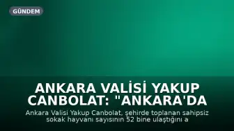 Ankara Valisi Yakup Canbolat: "Ankara'da toplanan sahipsiz sokak hayvanı sayısı 52 bine ulaştı"