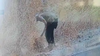 Ankara'da Ot Yangını Kundaklama Çıktı: Güvenlik Kamerası Kaydetti