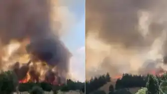 Ankara'da Otluk Alanda Yangın: 1 Saatte Söndürüldü
