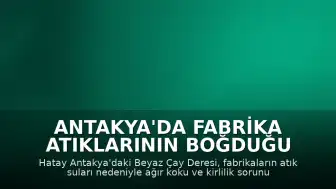 Antakya'da Fabrika Atıklarının Boğduğu Beyaz Çay Deresi İçin Çözüm Bekleniyor