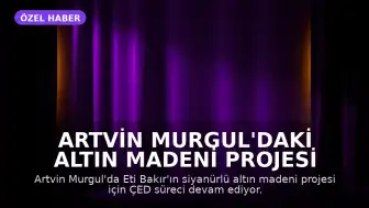 Artvin Murgul'daki Altın Madeni Projesi İçin ÇED Kararı Bekleniyor: 'Sızdırmaz' Tartışması