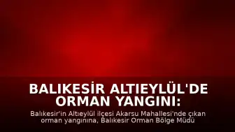 Balıkesir Altıeylül'de Orman Yangını: Müdahale Devam Ediyor
