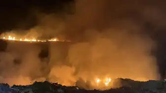 Bodrum Ortakent'te Ormanlık Alanda Yangın: Müdahale Devam Ediyor