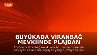 Büyükada Viranbağ Mevkiinde Plajdan Ormana Sıçrayan Yangın Kontrol Altına Alındı