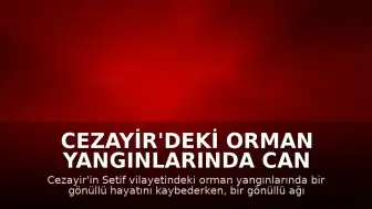 Cezayir'deki Orman Yangınlarında Can Kaybı ve Yaralanma Bildirildi