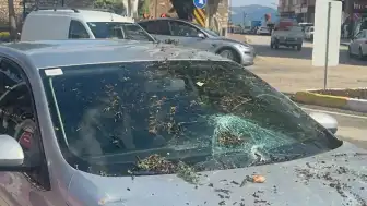 Eğirdir'de Kuvvetli Rüzgar Ağacı Devirdi: Otomobil Hasar Gördü