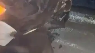 Elazığ'da Trafik Kazası: Yola Çıkan Domuz Cip ile Çarpıştı
