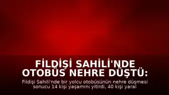 Fildişi Sahili'nde otobüs nehre düştü: 14 ölü, 40 yaralı