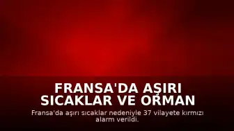 Fransa'da Aşırı Sıcaklar ve Orman Yangınları: 37 Vilayet İçin Kırmızı Alarm Verildi