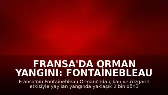 Fransa'da Orman Yangını: Fontainebleau Ormanı'nda Bin 980 Dönüm Alan Kül Oldu