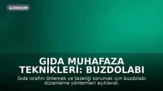 Gıda Muhafaza Teknikleri: Buzdolabı Düzeni ve Verimlilik Yöntemleri