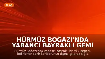 Hürmüz Boğazı'nda Yabancı Bayraklı Gemi Karaya Oturdu