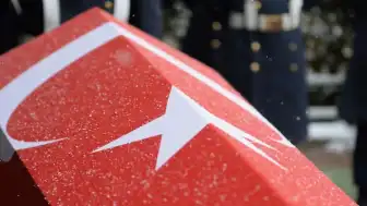 İçişleri Bakanı Mustafa Çiftçi Duyurdu: Uzman Jandarma M.D. Şehit Oldu