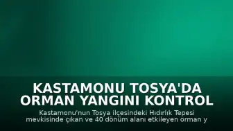 Kastamonu Tosya'da Orman Yangını Kontrol Altına Alındı