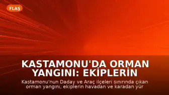 Kastamonu'da Orman Yangını: Ekiplerin Müdahalesiyle Kontrol Altına Alındı