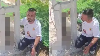 Kırıkhan'da Sahibinin Köpeği Elektrik Direğinde Ölü Bulundu