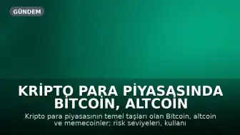 Kripto Para Piyasasında Bitcoin, Altcoin ve Memecoin Farklılıkları