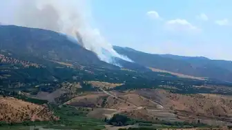 Malatya Pütürge'de Orman Yangını Çıktı