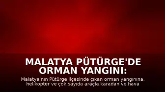 Malatya Pütürge'de Orman Yangını: Ekiplerin Müdahalesi Sürüyor