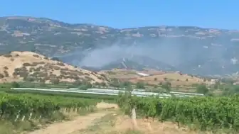 Manisa Sarıgöl'de çıkan maki yangını ormana sıçradı