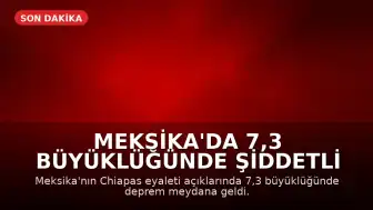 Meksika'da 7,3 Büyüklüğünde Şiddetli Deprem: Tsunami Uyarısı Yapıldı