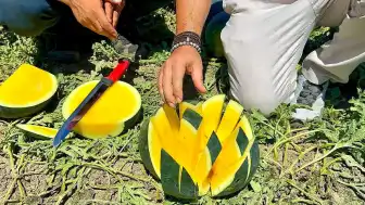 Mersin Tarımında Yeni Dönem: Sarı Etli 'Tropical Sunshine' Karpuzu Üretimi