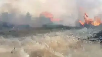 Muğla'nın Menteşe İlçesinde Orman Yangınına Müdahale Ediliyor