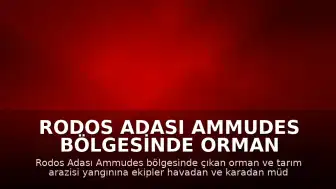 Rodos Adası Ammudes bölgesinde orman yangını meydana geldi