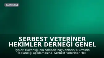 Serbest Veteriner Hekimler Derneği Genel Başkanı Bilsay Kanat: "Bize kaç hayvan toplandığını değil, kaçının yaşatıldığını söyleyin"